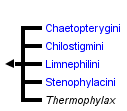 taxon links