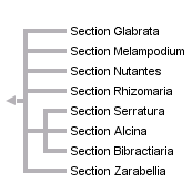 taxon links