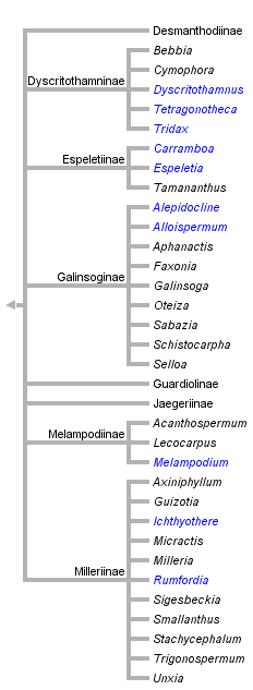 taxon links