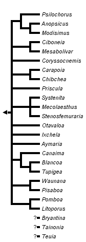 taxon links