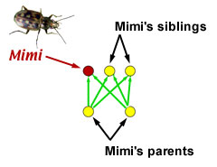 Mimi's parents and siblings