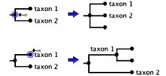 adding subgroups